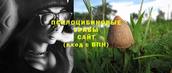 круглые Алзамай