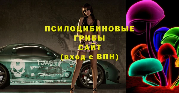круглые Алзамай